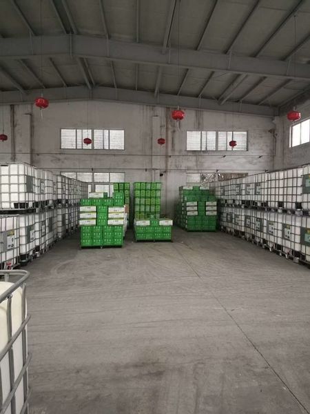 Porcellana Shenzhen Taiqiang Investment Holding Co., Ltd Profilo Aziendale